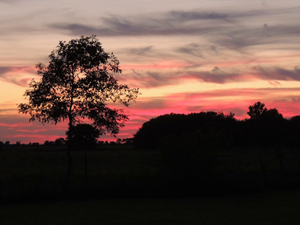 Hope does not disappoint–