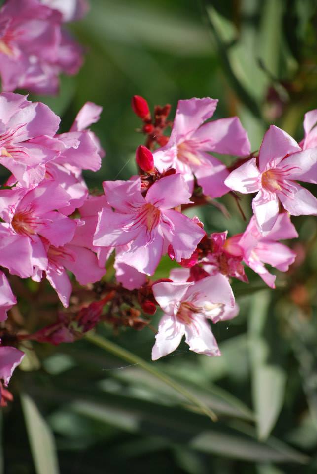 Fearfully and wonderfully&nbsp;made…