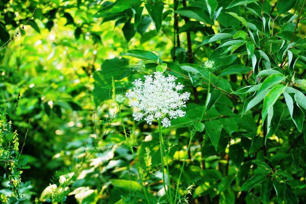 Just as I&nbsp;am…